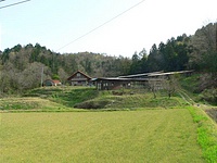 全景