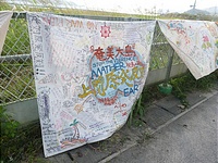 奄美からも