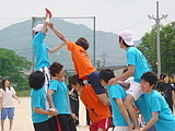 騎馬戦（男子）