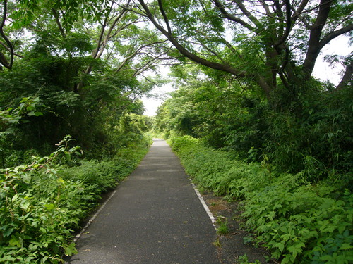 素敵ロードが待っている