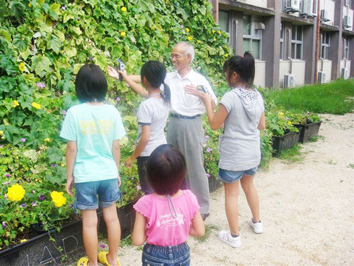 「緑のカーテン」って不思議だね