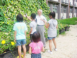 「緑のカーテン」って不思議だね