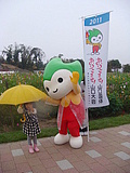 コスモスの前で♪
