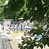県立大学フェスタ2009