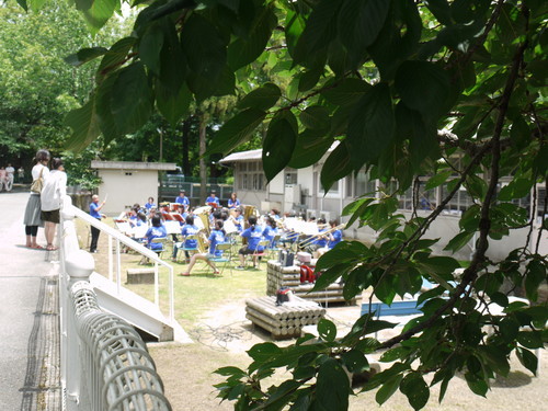 県立大学フェスタ2009
