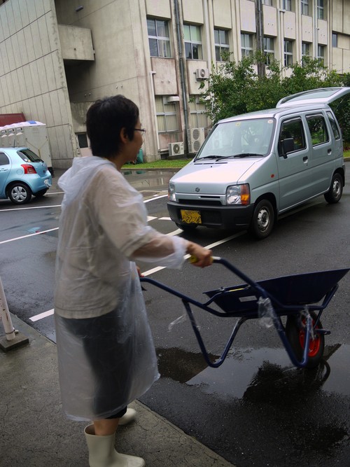 猫車を運ぶ教員