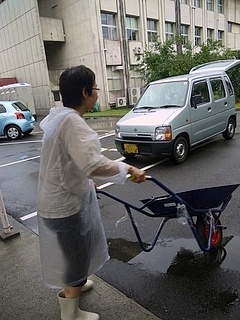 猫車を運ぶ教員