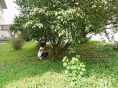 そぉっと