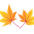momiji01-1