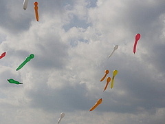 空高く