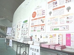 展示の様子