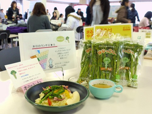 見本と栄養情報