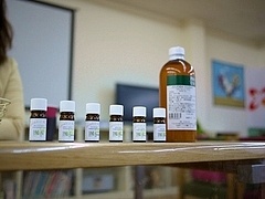 P1150134