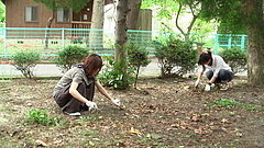 きれいになってきた…！