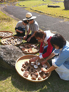 収穫したしいたけを天日干しに