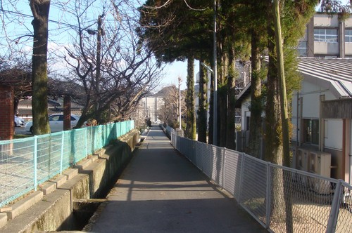 大学院棟横の道