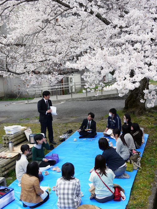 大学の名物桜の下で。