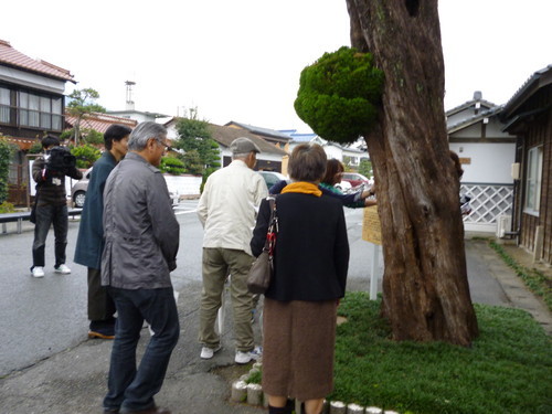 宮野駅の前でカイヅカイブキを触るツアー一行 宮野駅の前でカイヅカイブキを触るツアー一行