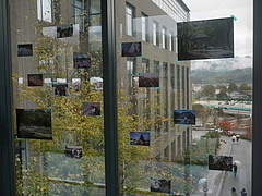 写真サークル～彩～　作品展示