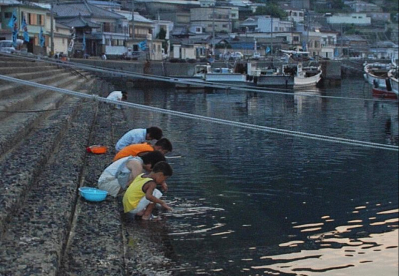 祝島漁港でウニを洗う