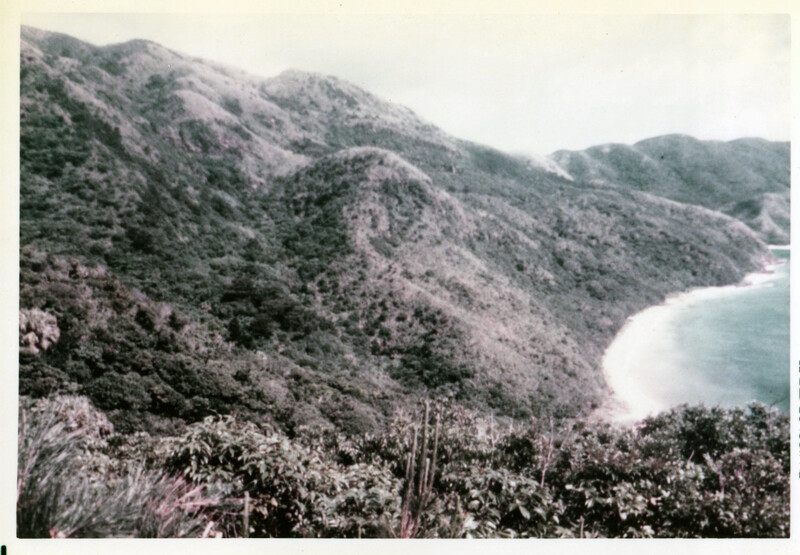 鹿川村のあった斜面PK001_0063