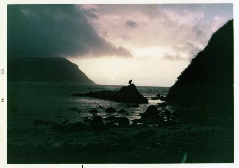 ウブドー浜のウミウかPK001_0060