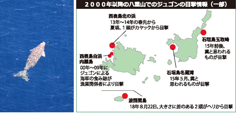 20190419_yaeyama_jugon