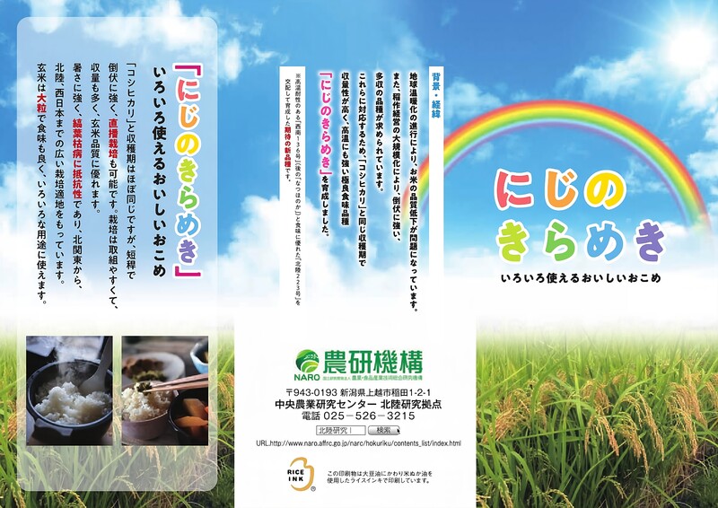 にじのきらめきチラシnijinokirameki