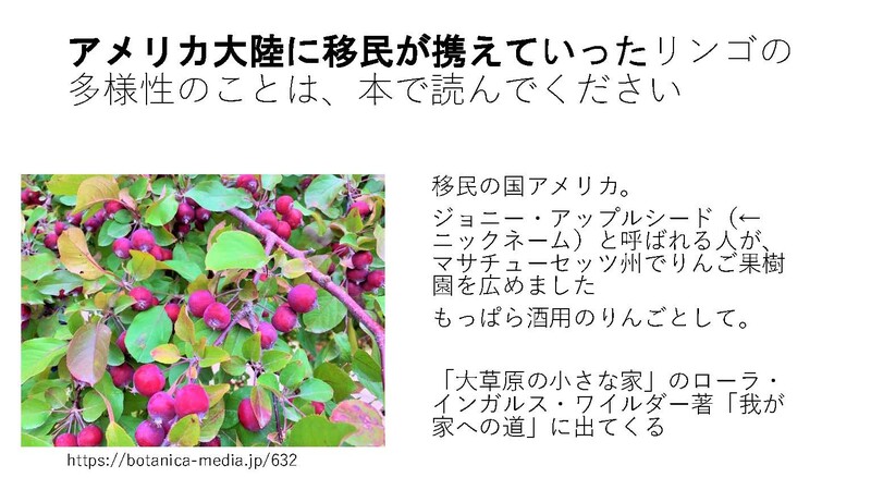 安渓貴子りんごから_ページ_20