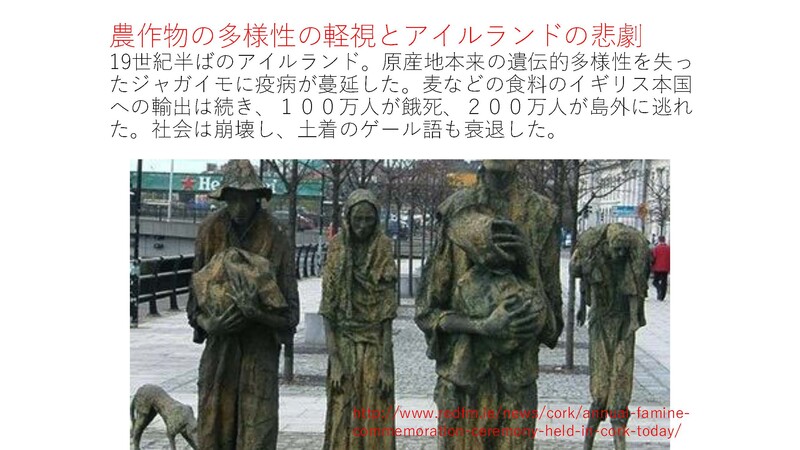 安渓貴子りんごから_ページ_24