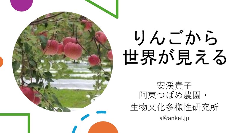 安渓貴子りんごから_ページ_01