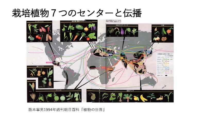 安渓貴子りんごから_ページ_08