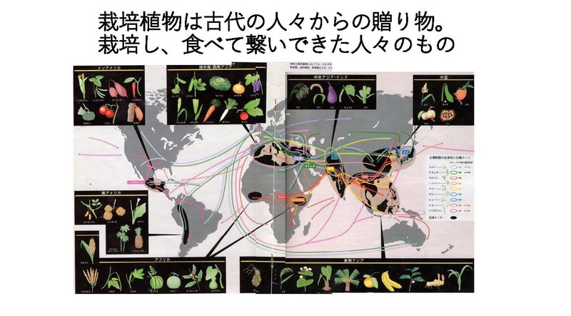 安渓貴子りんごから_ページ_17
