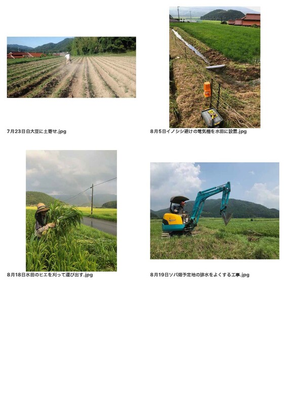 AtoTsubameFarm2025Photo_ページ_4