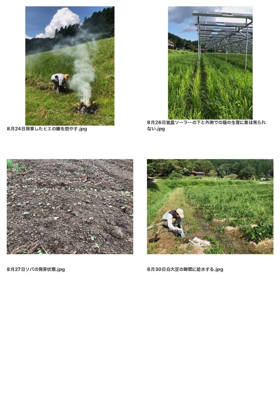 AtoTsubameFarm2025Photo_ページ_5