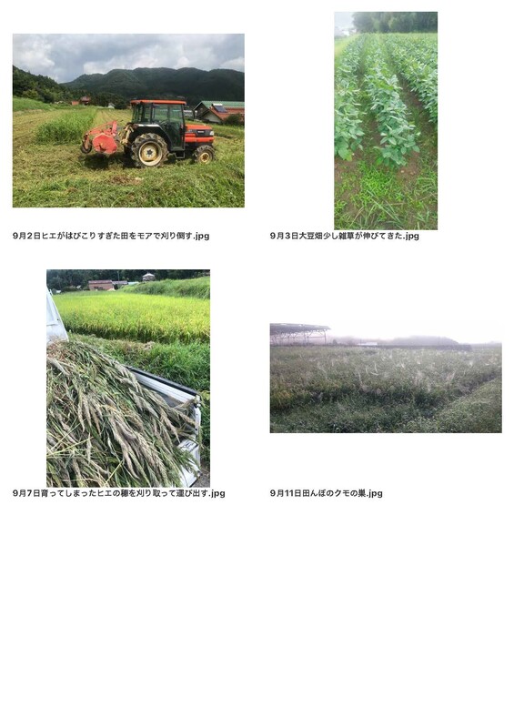 AtoTsubameFarm2025Photo_ページ_6