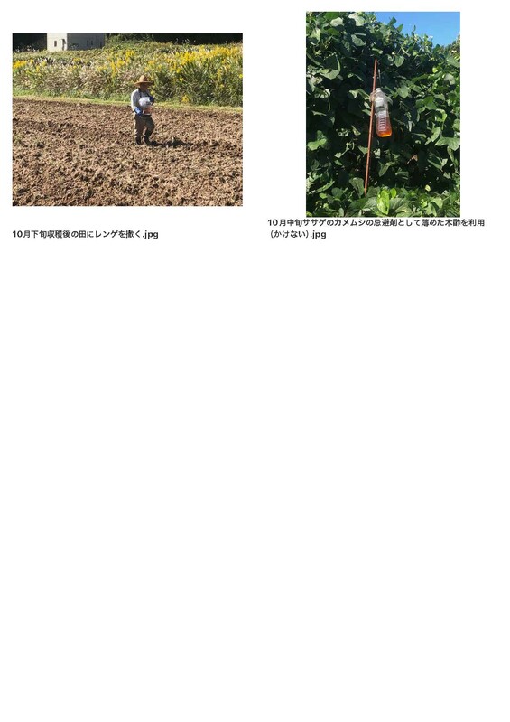 AtoTsubameFarm2025Photo_ページ_9