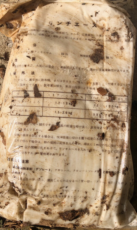 リンチエース裏