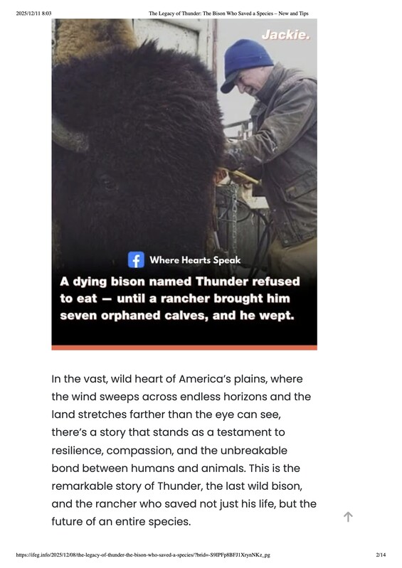 The Legacy of Thunder_ The Bison Who Saved a Species – New and Tips