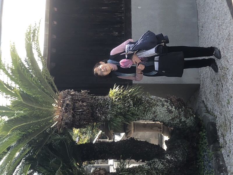 長崎駅から立山町へ登る途中のソテツ